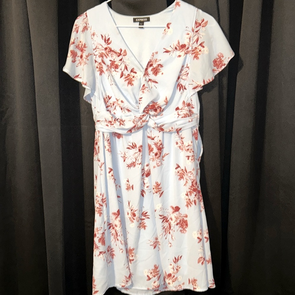Express spring dress